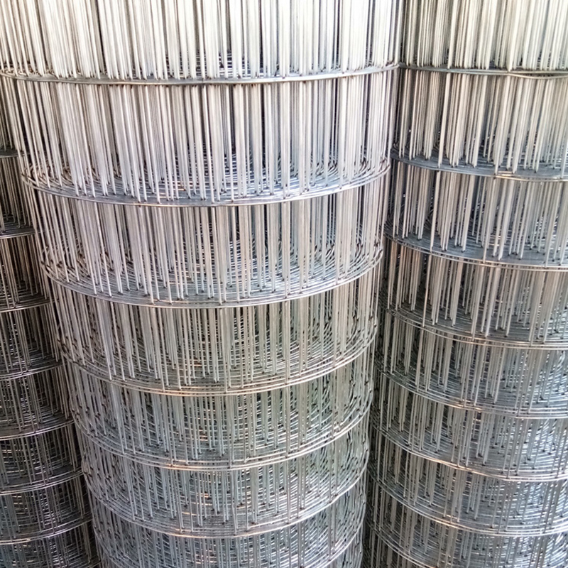 Galvanized Welded Wire Mesh, PVC Welded Wire Mesh, Stainless Steel Welded Wire Mesh, Bird Cage Wire Mesh