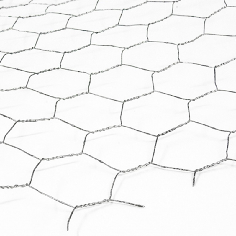 Galvanized Hexagonal Wire Mesh, PVC Hexagonal Wire Mesh, Poultry Fence Net, Chicken Net